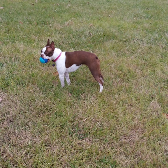 Meet your Posher, Seasun2375 - Picture 3 of 6